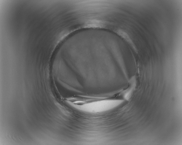 X0000066490204200604072223