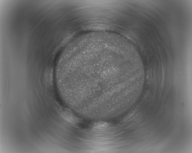 X0000066490206200604072223