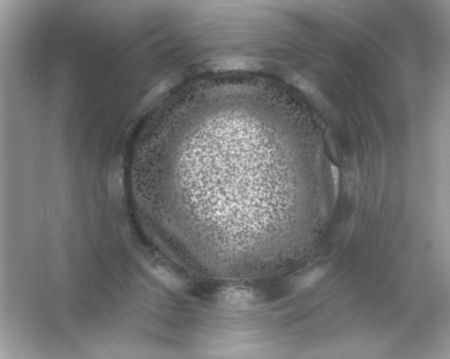 X0000066490207200604072223
