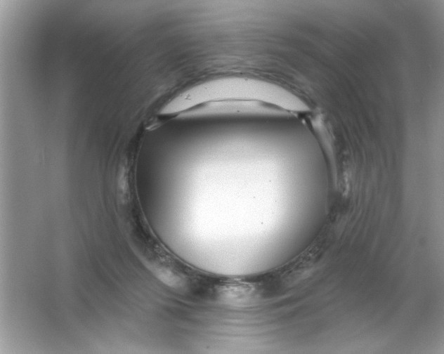 X0000066490215200604072223