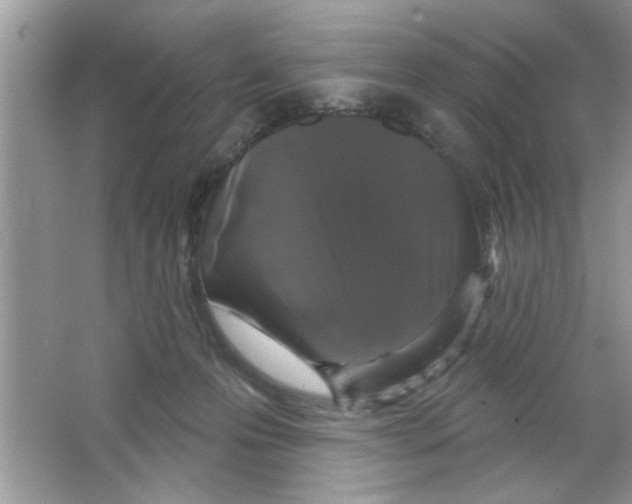X0000066490223200604072223
