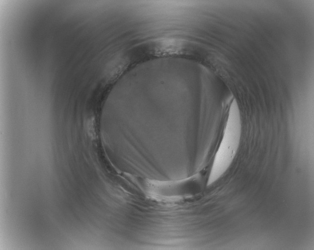 X0000066490224200604072223