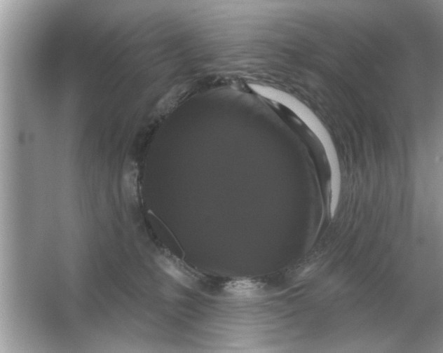 X0000066490231200604072223