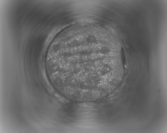 X0000066490241200604072222
