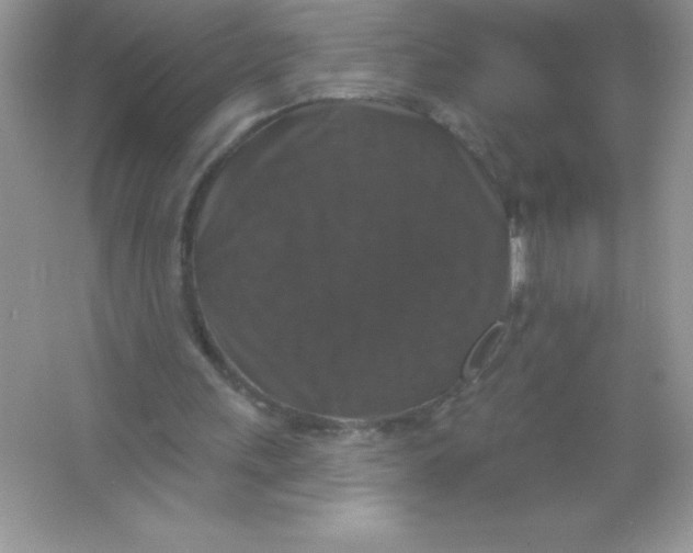 X0000066490243200604072222