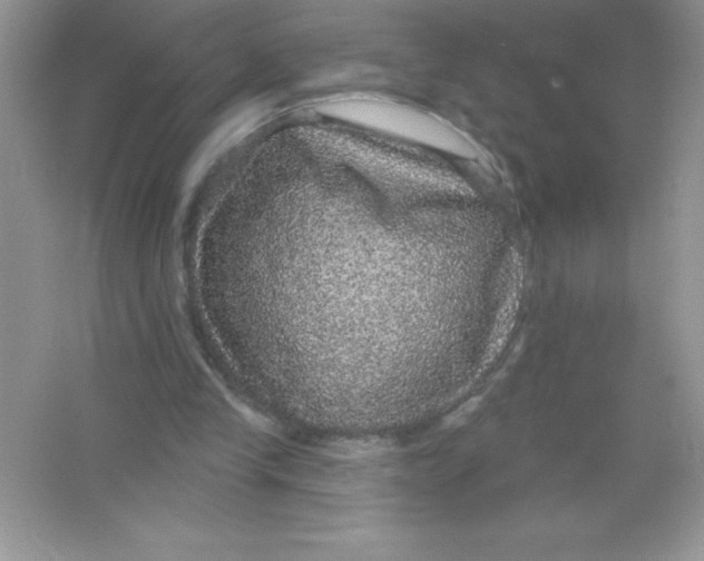 X0000066490245200604072222