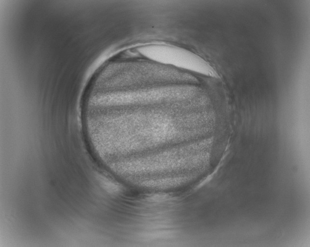 X0000066490246200604072222