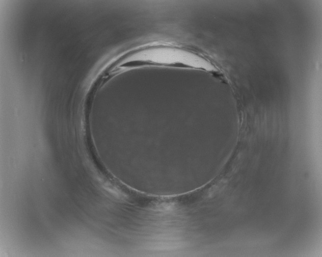 X0000066490247200604072222
