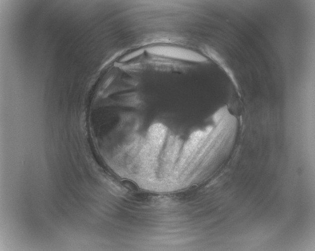 X0000066490249200604072222