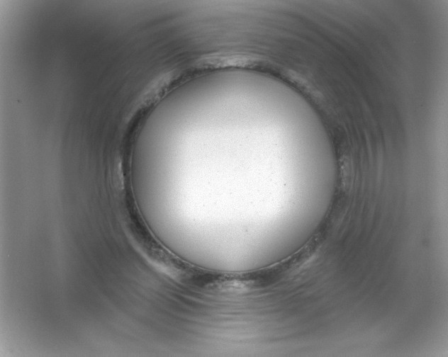 X0000066490254200604072222