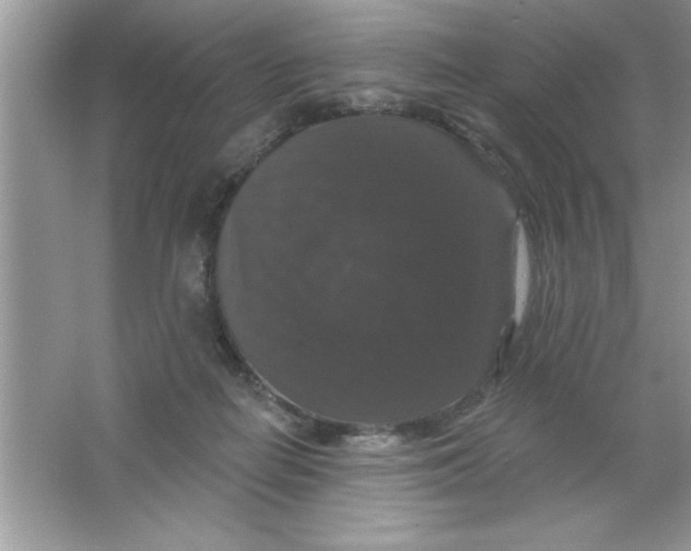 X0000066490266200604072222