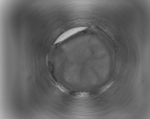 X0000066490288200604072223