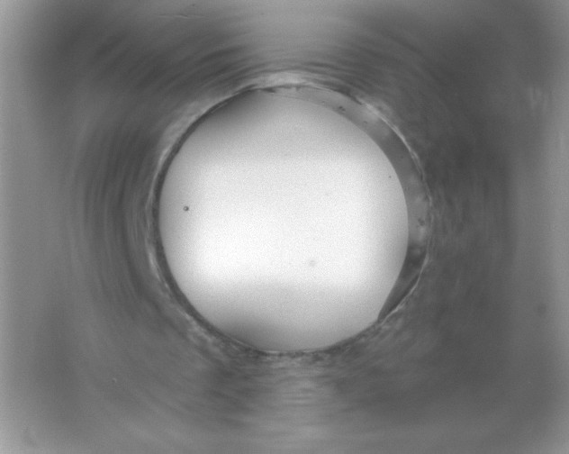 X0000066490289200604072222