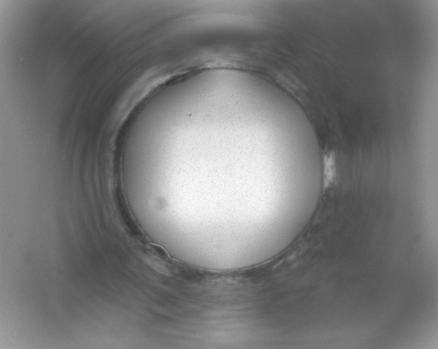 X0000066490291200604072222