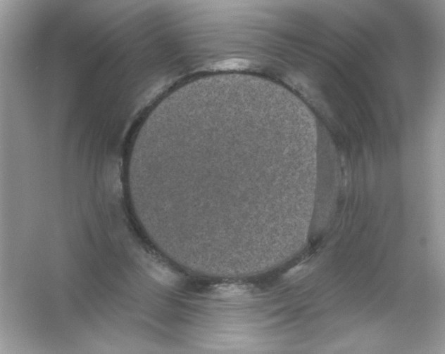 X0000066490300200604072222