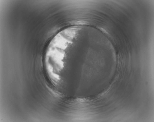 X0000066490302200604072222