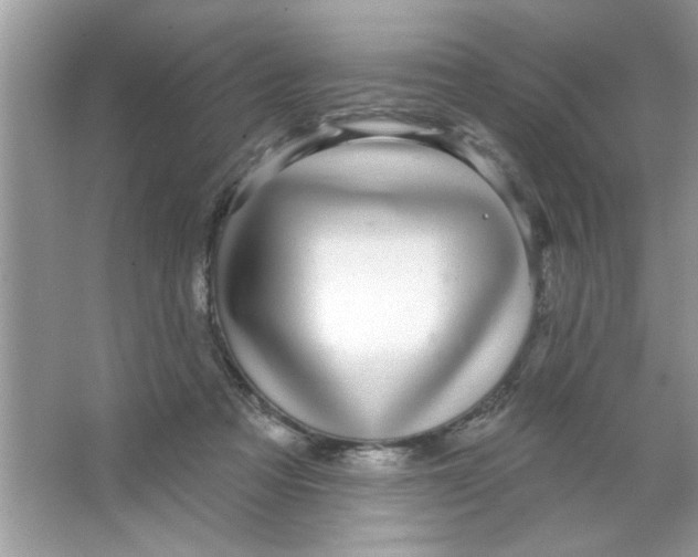 X0000066490313200604072222