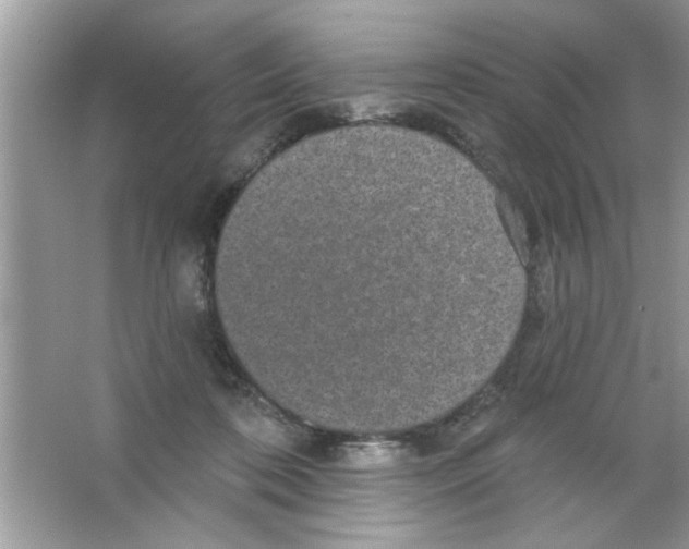 X0000066490316200604072222