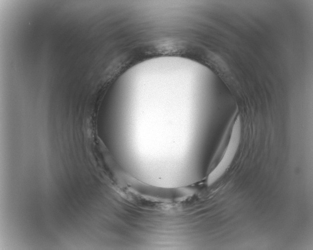 X0000066490317200604072222