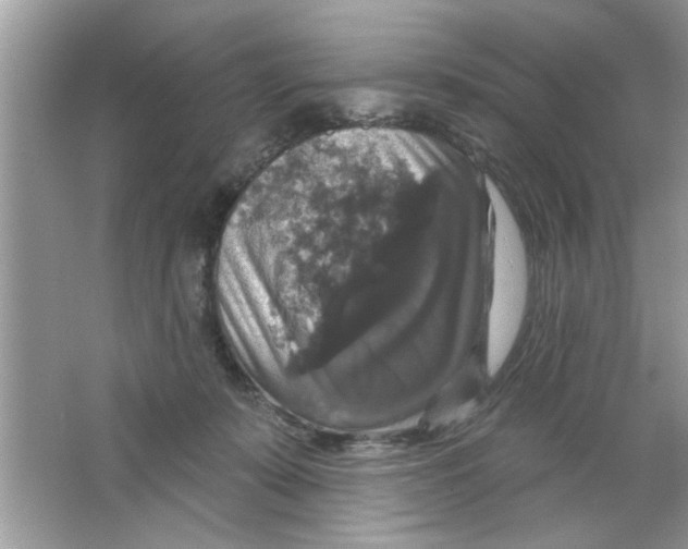 X0000066490319200604072221