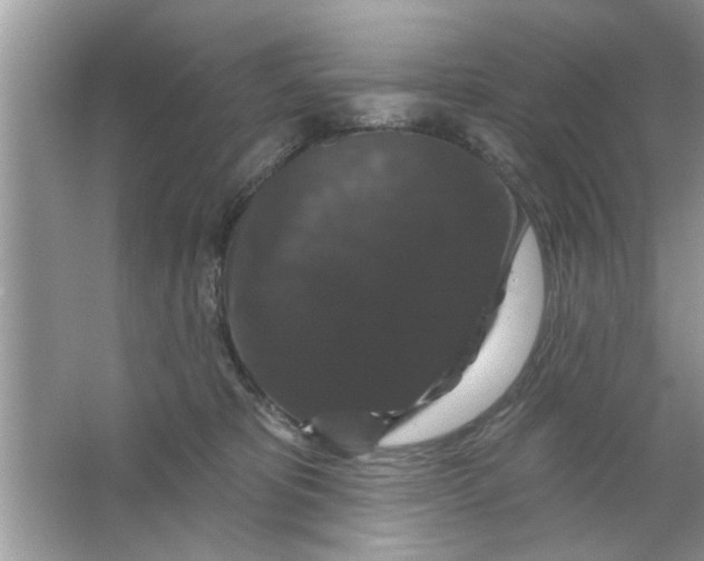 X0000066490325200604072221