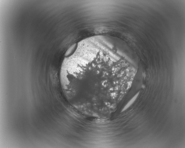X0000066490327200604072221