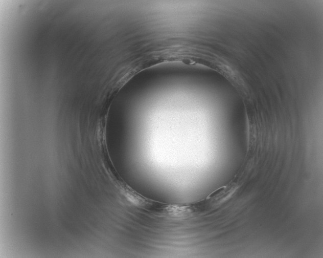 X0000066490333200604072221