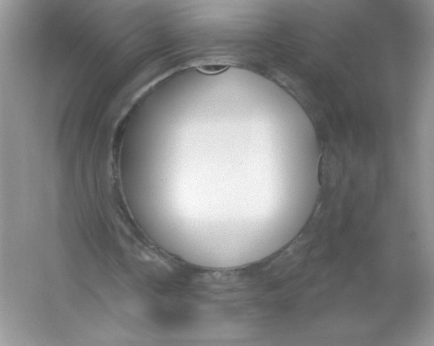 X0000066490338200604072220