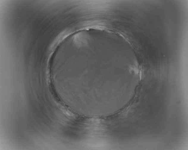 X0000066490339200604072220