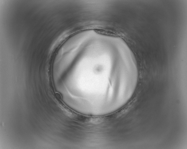 X0000066490341200604072220