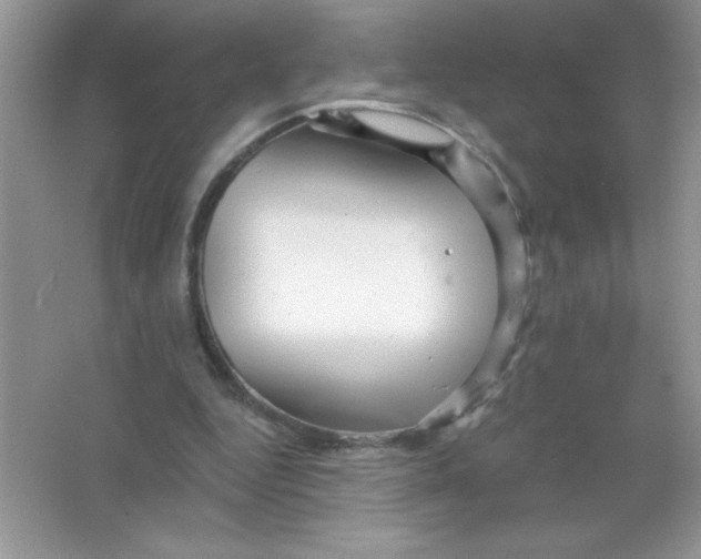 X0000066490344200604072221