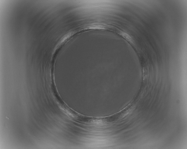 X0000066490349200604072221