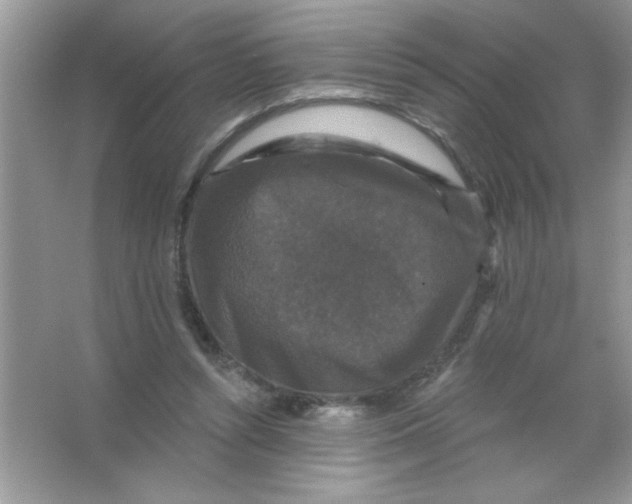 X0000066490352200604072221