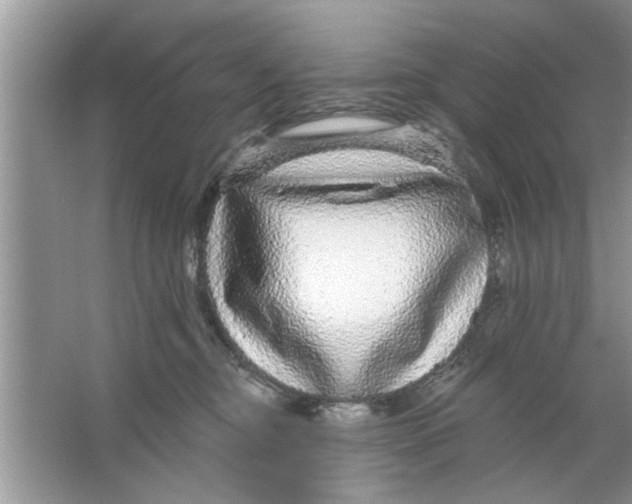 X0000066490374200604072221