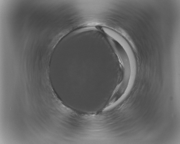 X0000066490385200604072220