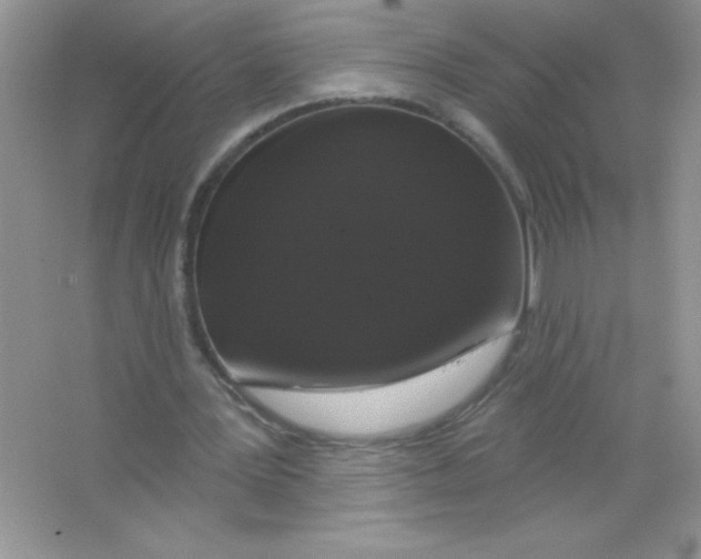 X0000066490387200604072220