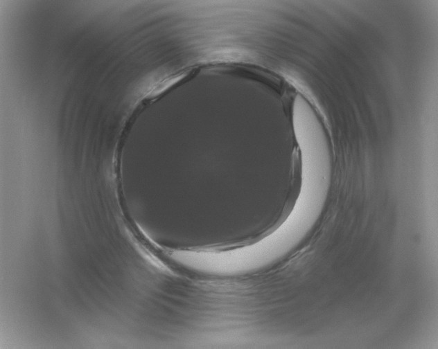 X0000066490389200604072220
