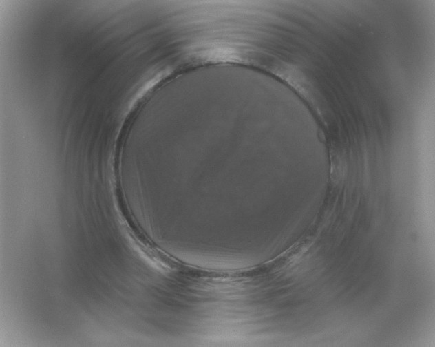 X0000066490390200604072220