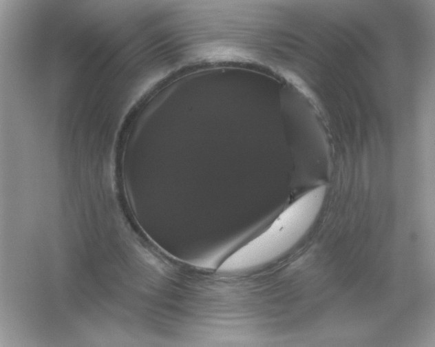 X0000066490391200604072220