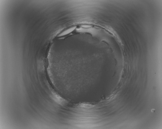 X0000066490393200604072220