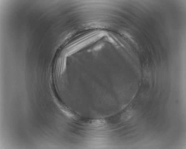 X0000066490398200604072220