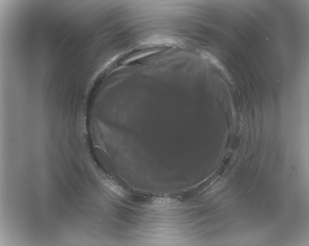 X0000066490399200604072220