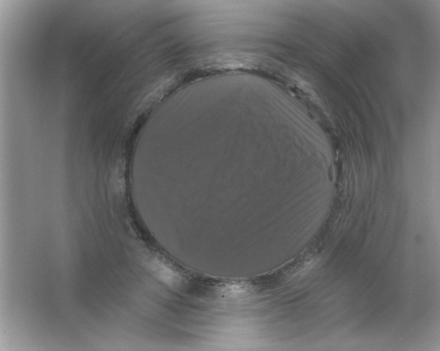 X0000066490402200604072220
