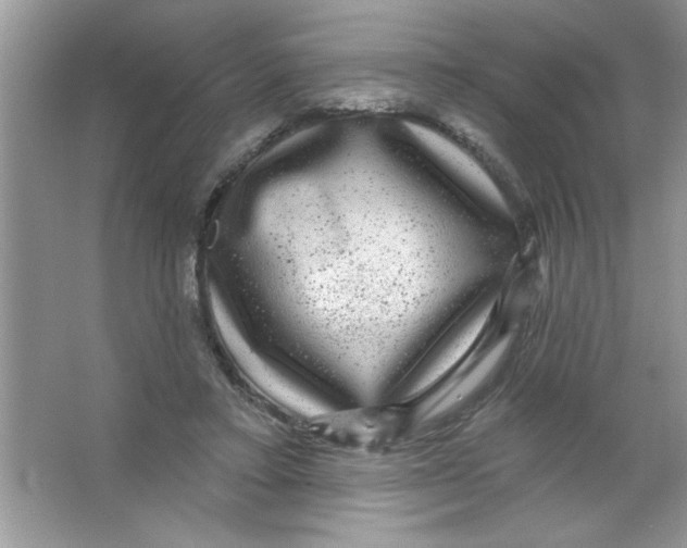 X0000066490403200604072220