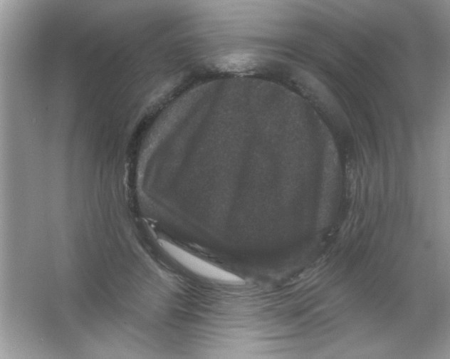 X0000066490404200604072220