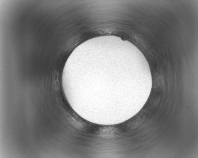 X0000066490414200604072220