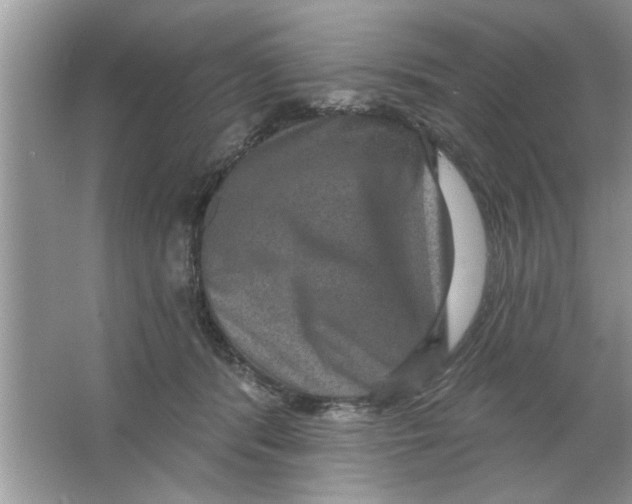 X0000066490416200604072220
