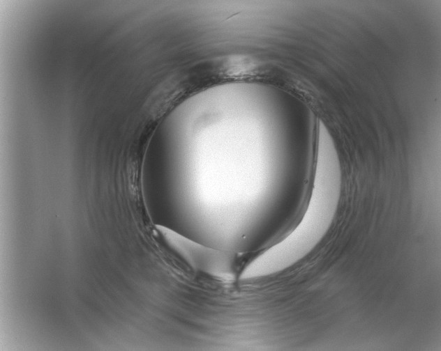 X0000066490421200604072220