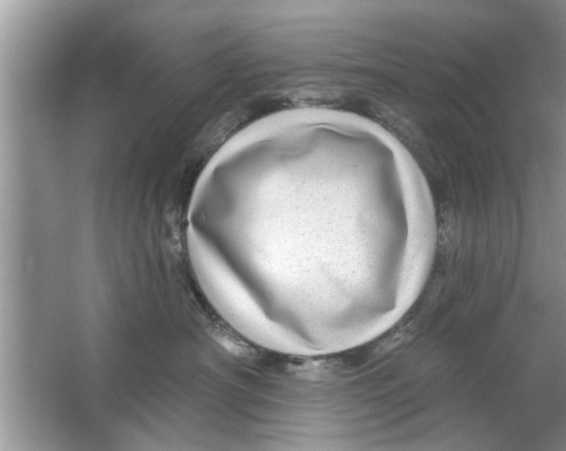 X0000066490430200604072220