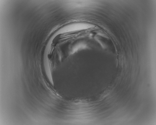 X0000066490434200604072219